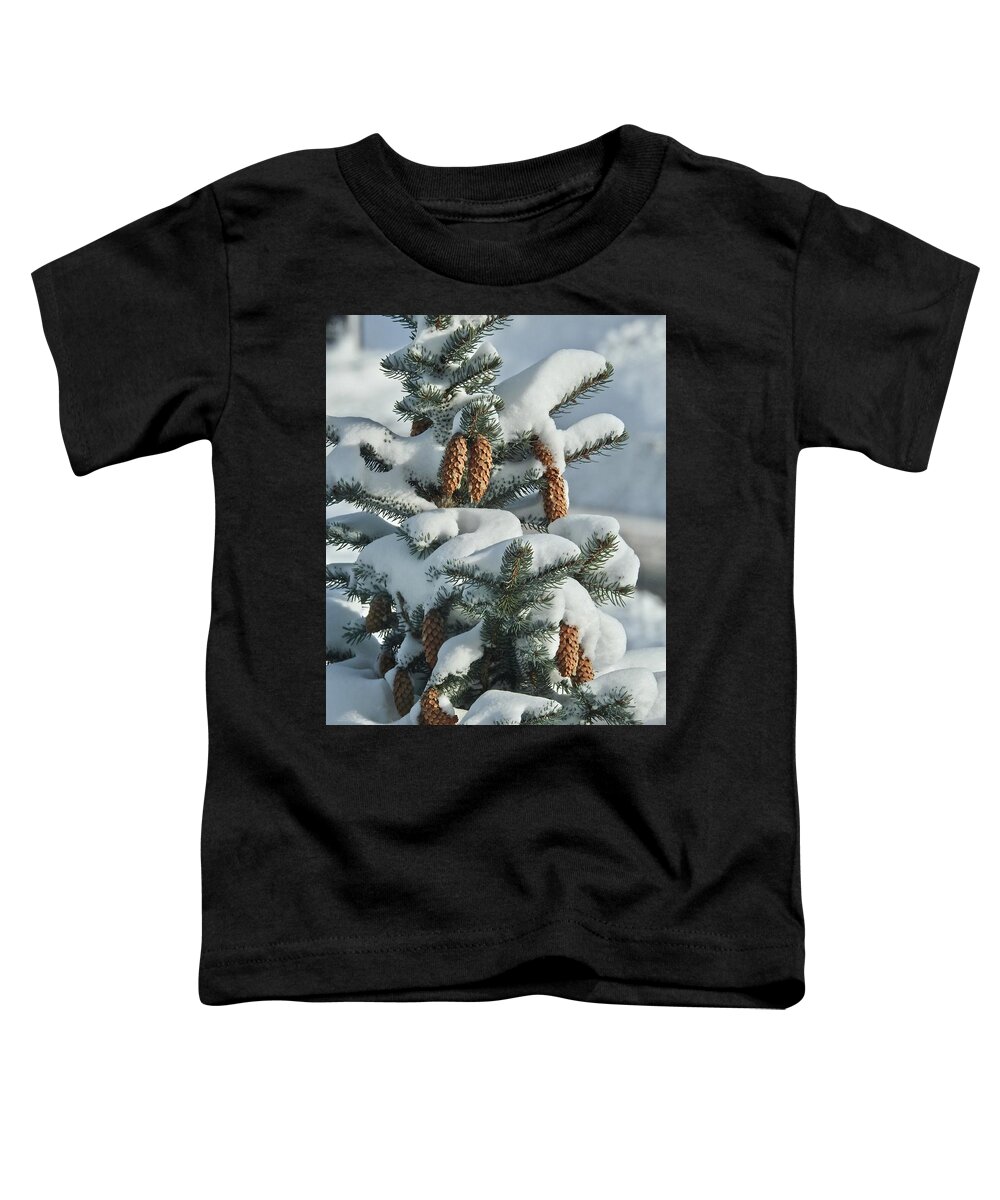 Pinecones Toddler T-Shirt featuring the photograph Pinecones In Snow by Kathy Chism