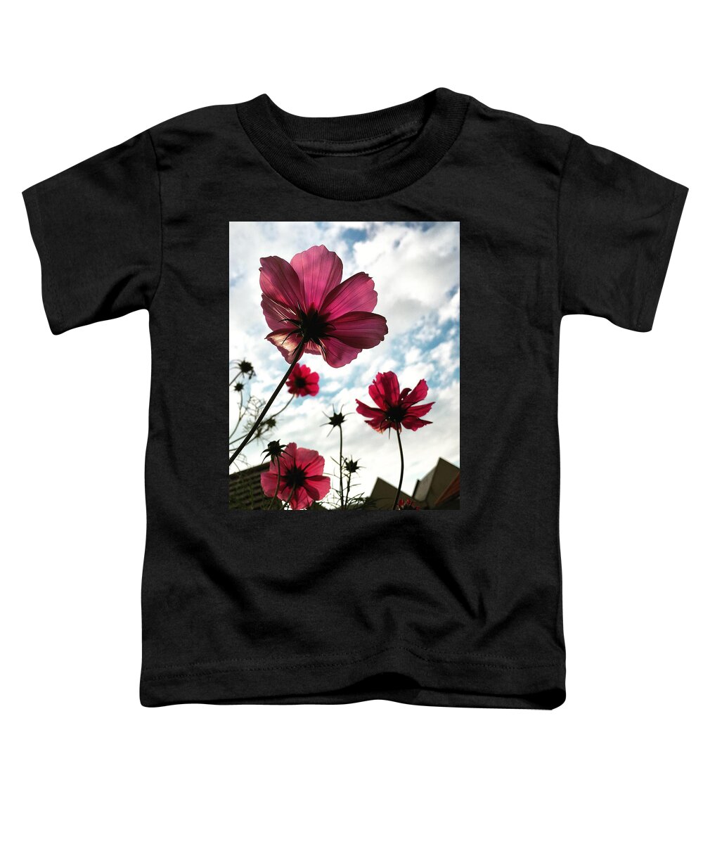 Flowers Toddler T-Shirt featuring the photograph Pink cosmos flowers by Seeables Visual Arts