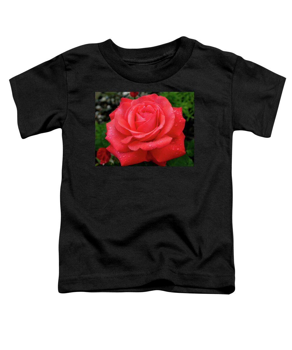 Rose Toddler T-Shirt featuring the photograph Raindrops on a Rose by Rose Guinther
