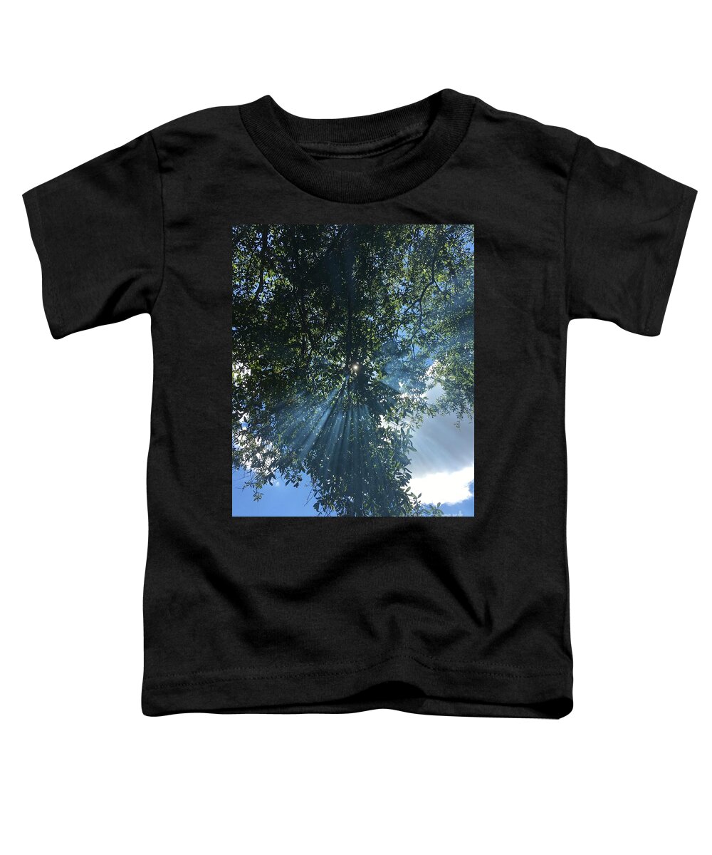 Sun Toddler T-Shirt featuring the painting Rays of Hope by Alan Metzger