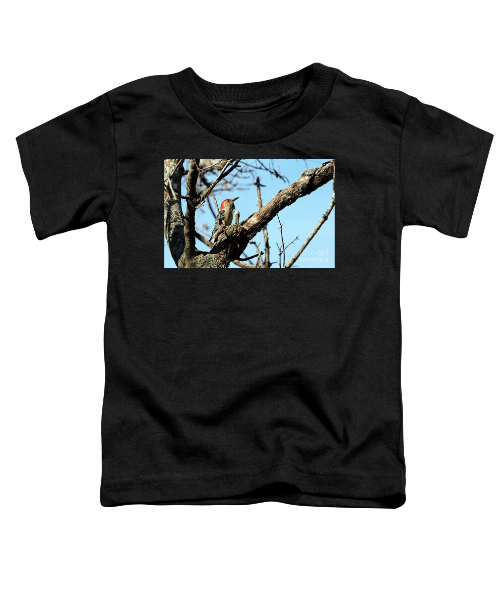 Woodpecker Toddler T-Shirt featuring the photograph Red bellied woodpecker by Sam Rino
