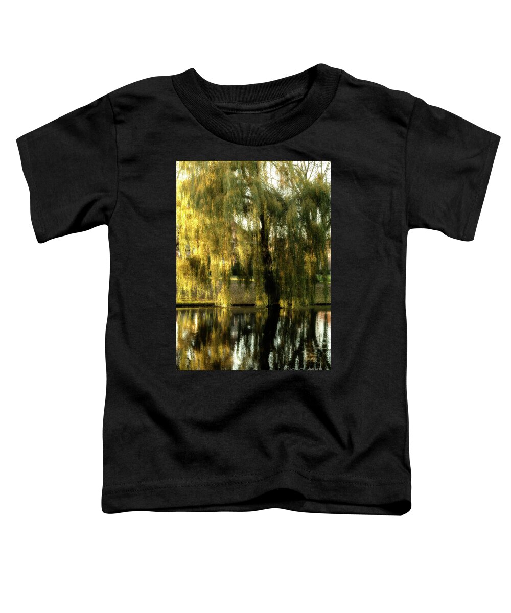 Color Toddler T-Shirt featuring the photograph Reflecting weeping willow tree by Patricia Hofmeester