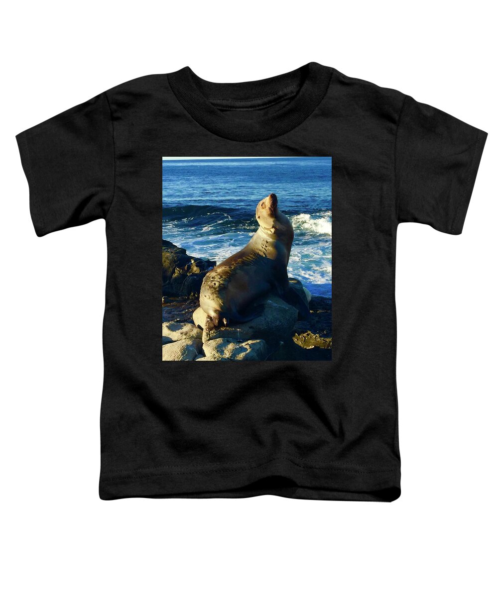 La Toddler T-Shirt featuring the photograph Sea Lion,La Jolla Cove,SD by Bnte Creations