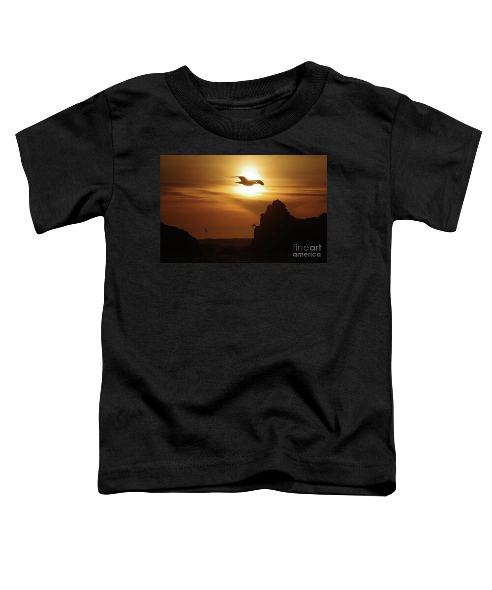 Bird Toddler T-Shirt featuring the photograph Seagull and ocean sunset by Jeff Swan