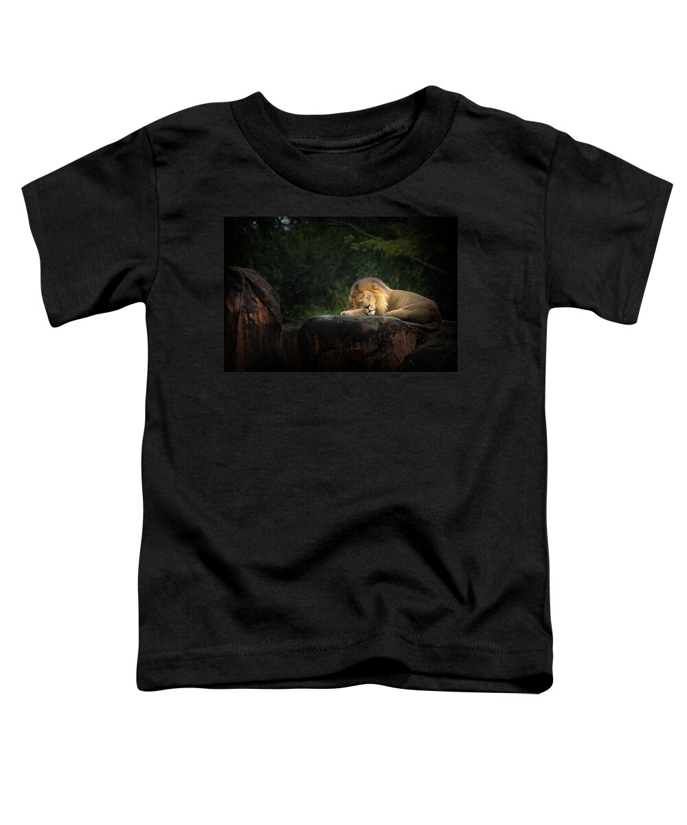 Lion Toddler T-Shirt featuring the photograph Sleeping Lion by Mark Andrew Thomas