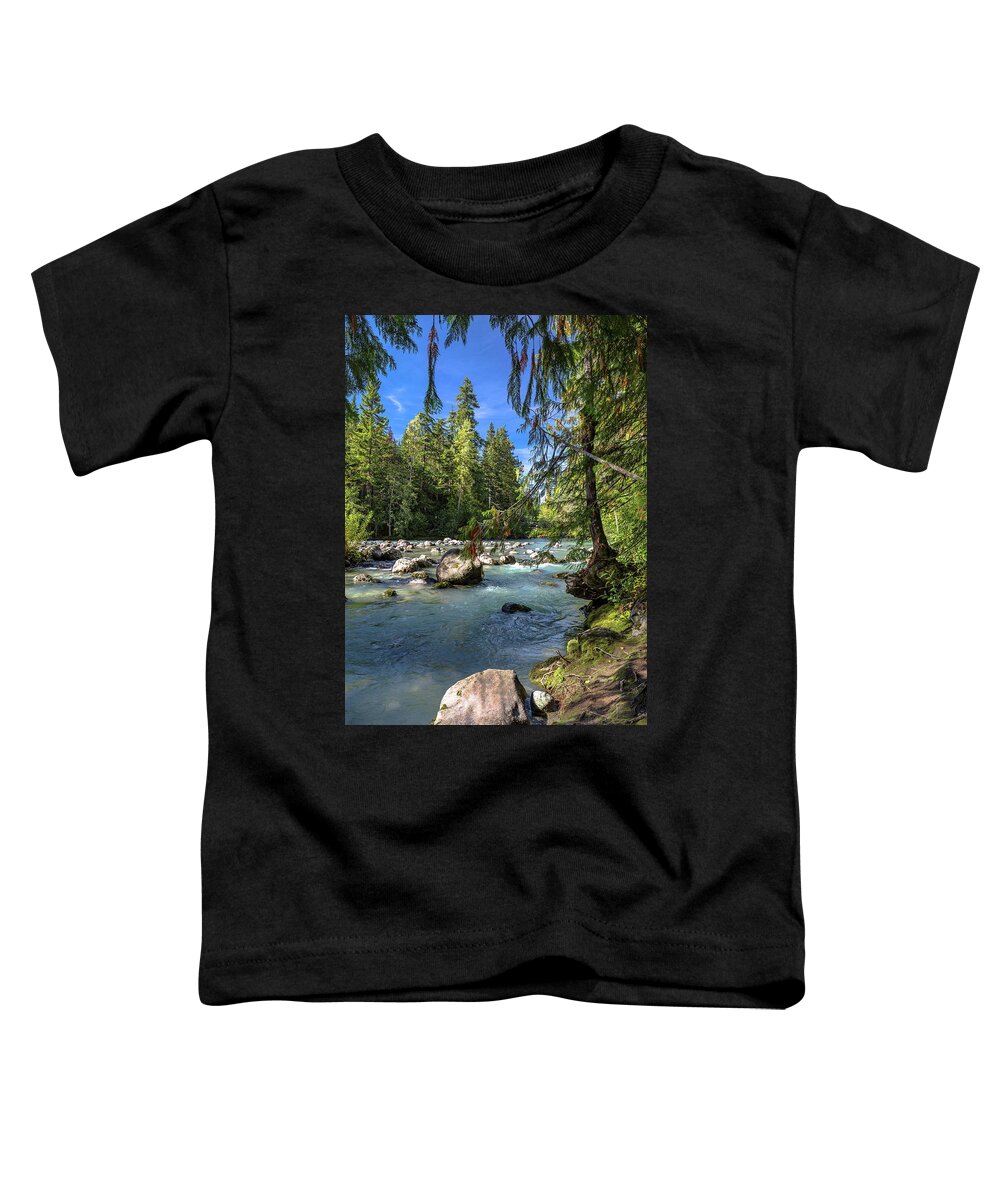 Alex Lyubar Toddler T-Shirt featuring the photograph Small arm of Cheakamus River by Alex Lyubar