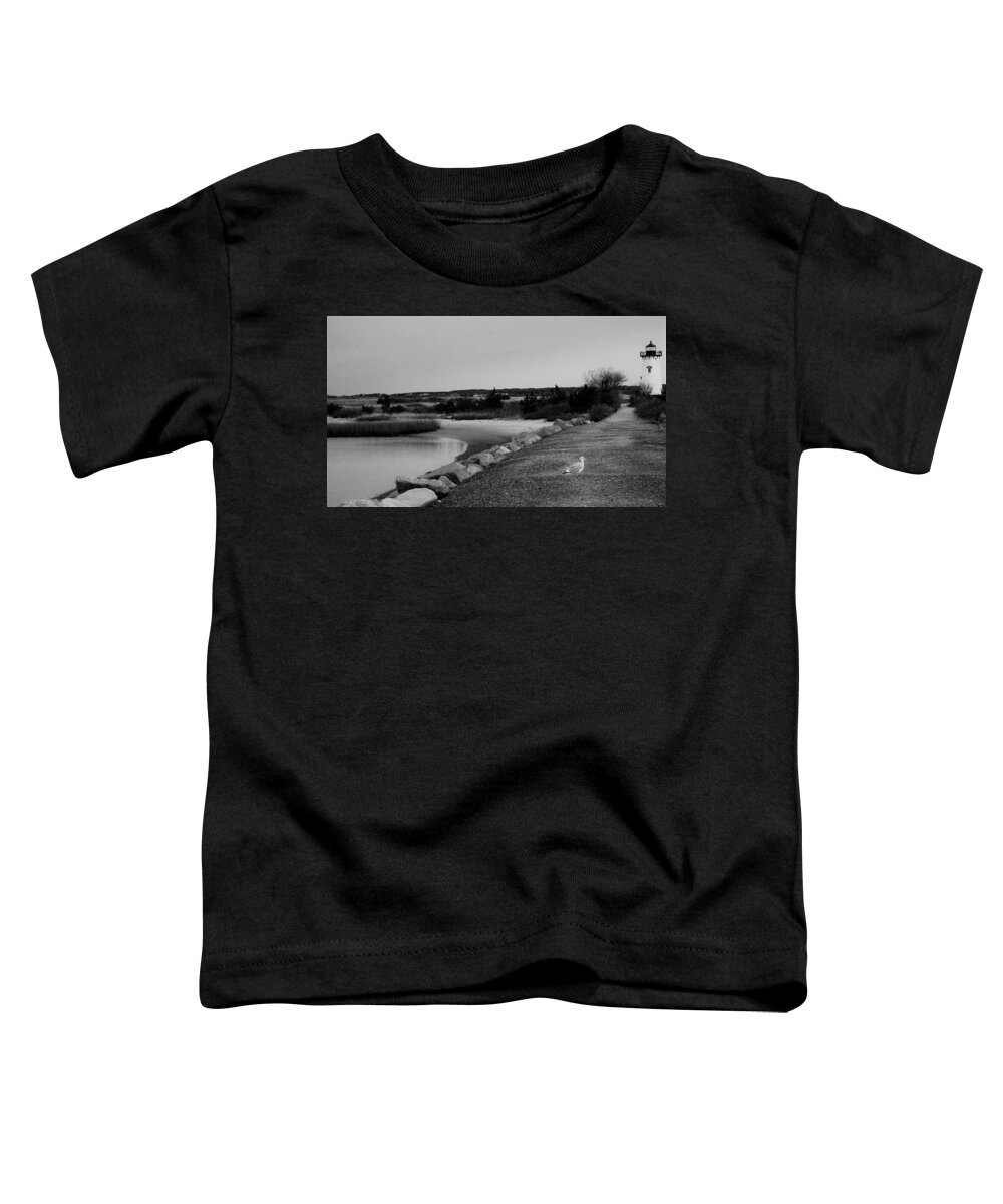 Massachusetts Toddler T-Shirt featuring the photograph Snapshot of The Vineyard by Kathy Barney