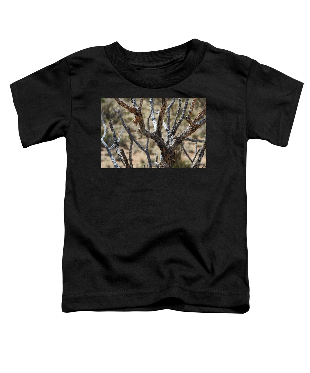 New Mexico Desert Toddler T-Shirt featuring the photograph Southwest Cactus Wood by Robert WK Clark