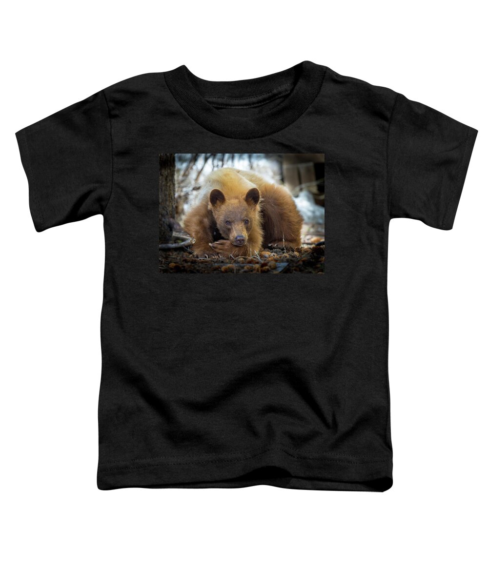 Bear Toddler T-Shirt featuring the photograph Spring Slumber by Kevin Dietrich