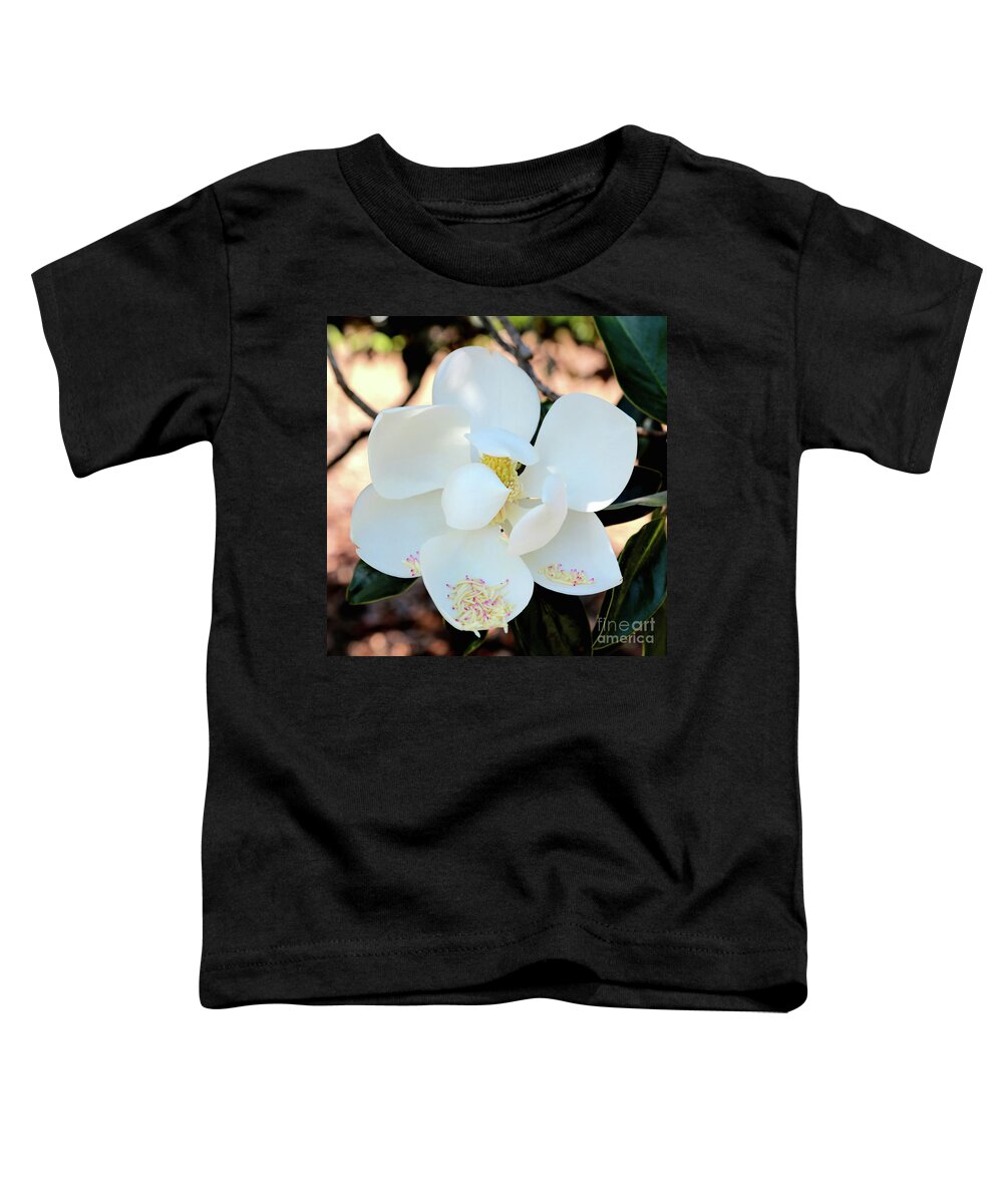 Magnolia Toddler T-Shirt featuring the photograph Sweet Magnolia Square by Carol Groenen