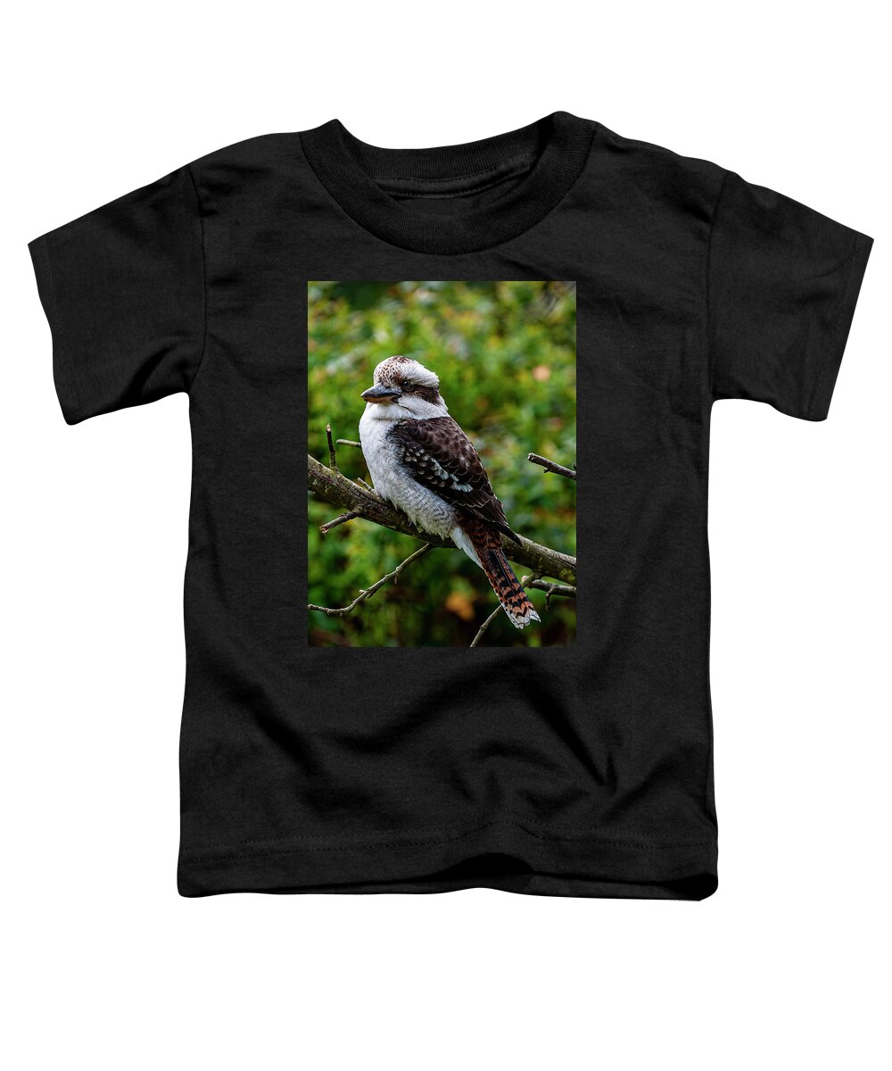Kookaburra Toddler T-Shirt featuring the photograph The Kookaburra by Frank Lee