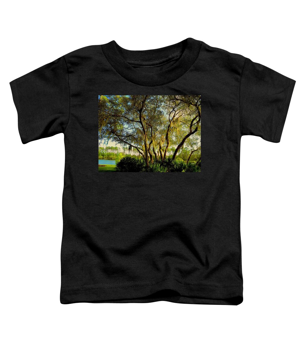 Nature Toddler T-Shirt featuring the photograph The Lake Beyond by Alida M Haslett