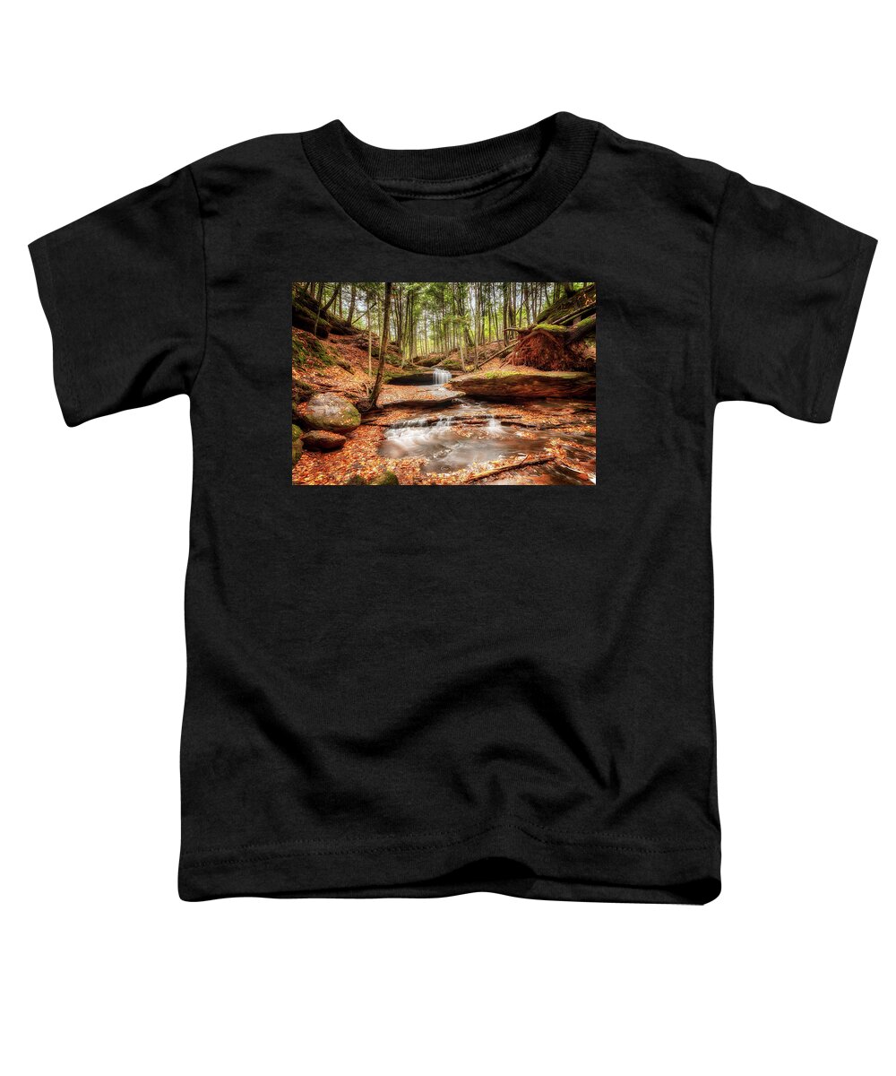 Waterfall Toddler T-Shirt featuring the photograph The Magical Dells at Houghton Falls by Susan Rissi Tregoning