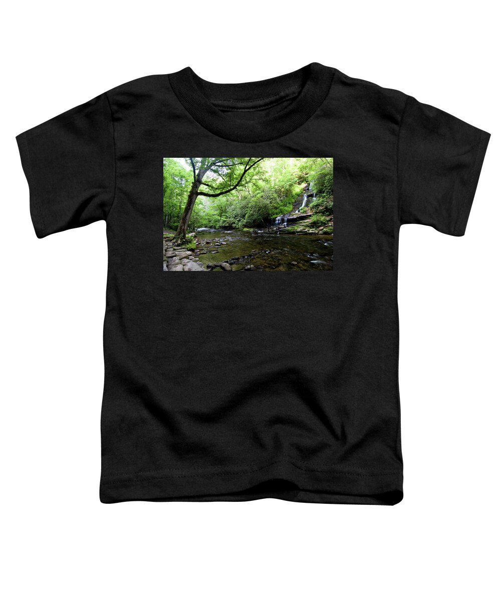 Waterfalls Toddler T-Shirt featuring the photograph Tom Branch Falls on Deep Creek by Bob Decker