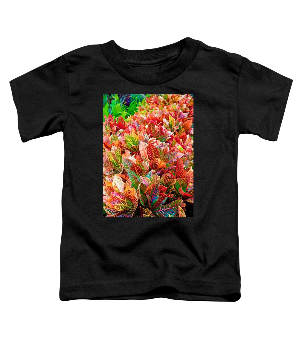 Tropical Toddler T-Shirt featuring the photograph Tropical Plantation Maui Study 4 by Robert Meyers-Lussier