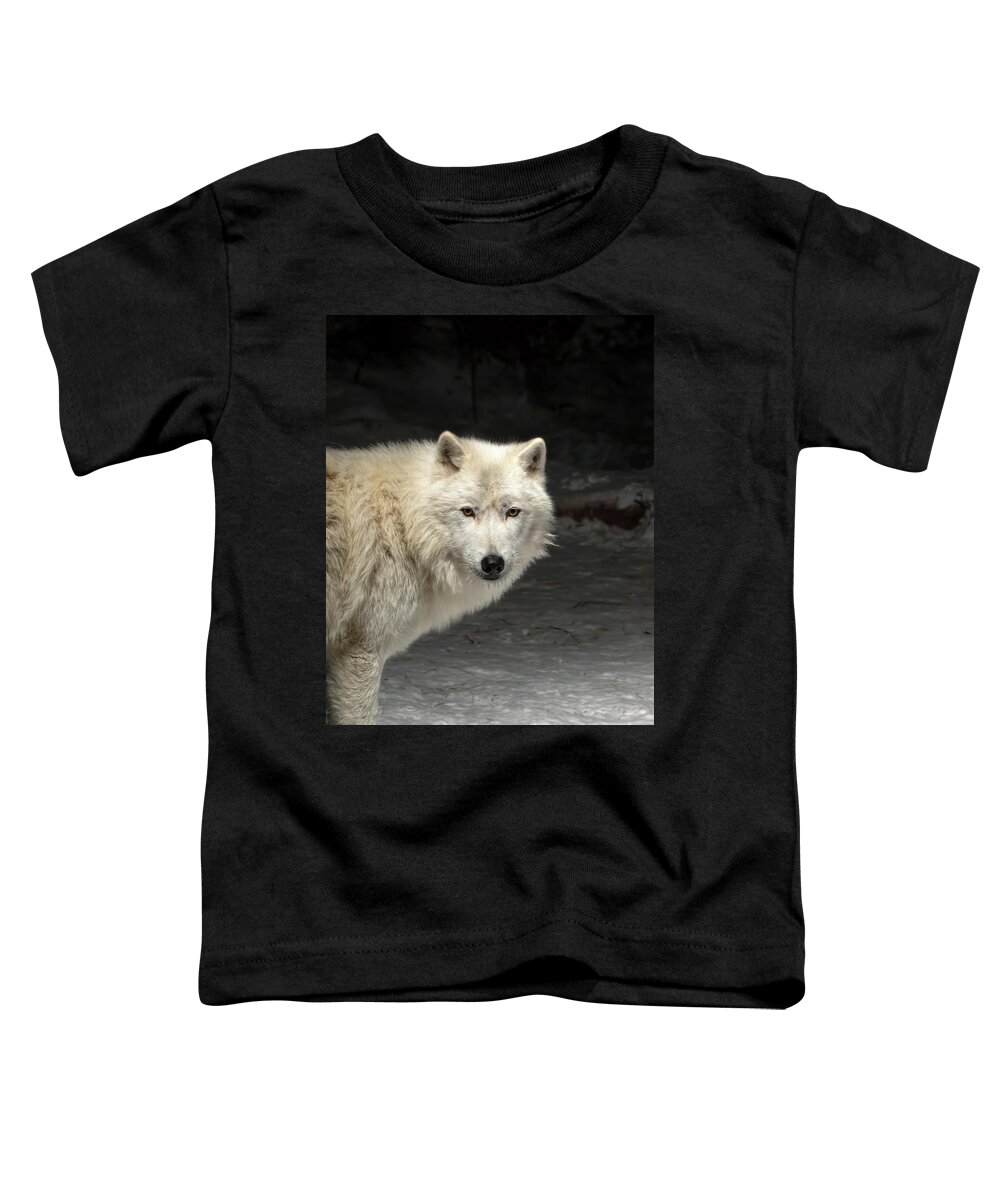 Wolf Toddler T-Shirt featuring the photograph What's for Dinner? by Susan Rissi Tregoning