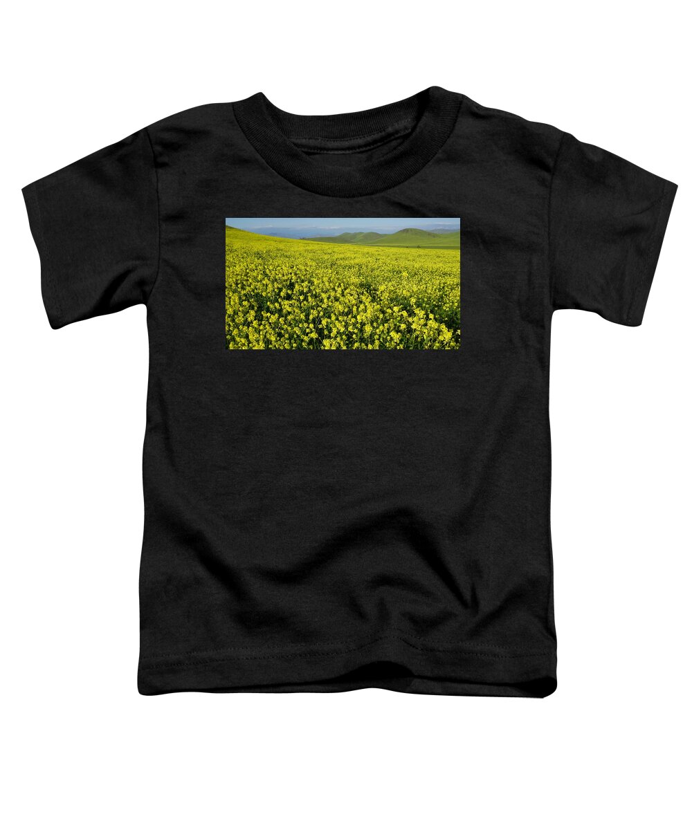 Wildflowers Toddler T-Shirt featuring the photograph Wild Mustard Yokohl Valley by Brett Harvey