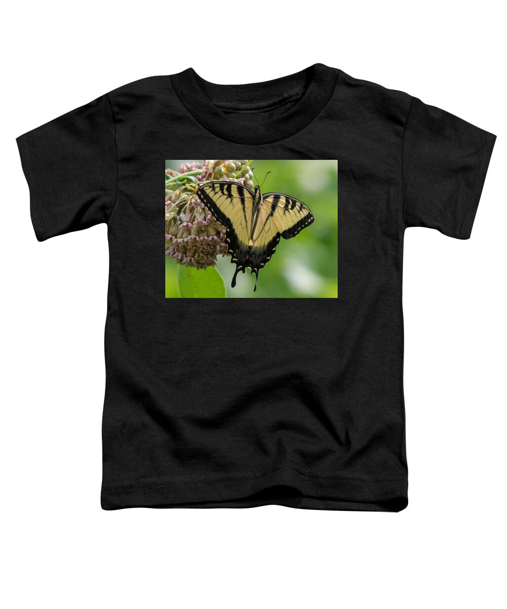 Butterfly Toddler T-Shirt featuring the photograph Yellow Swallowtail Butterfly by Susan Rydberg