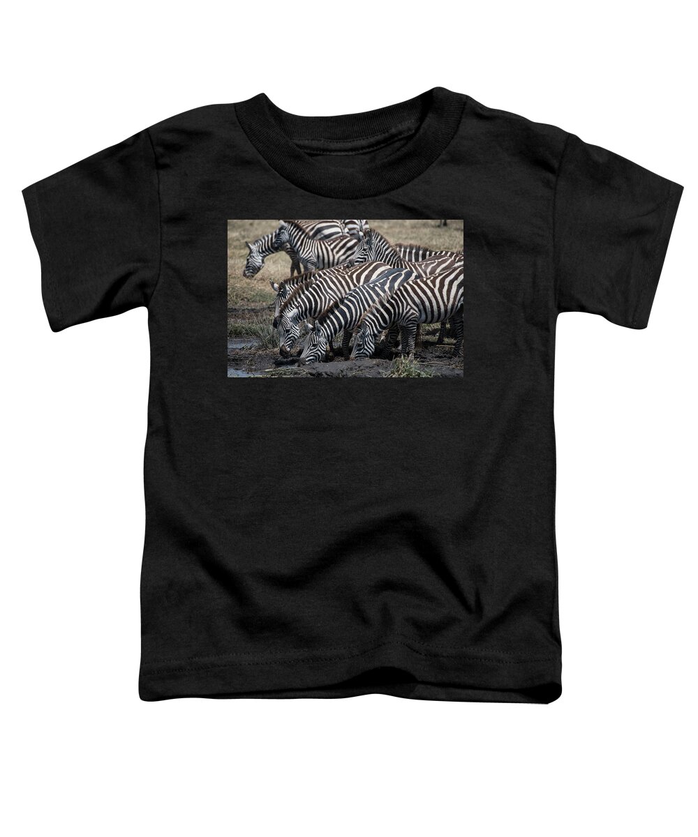 Africa Toddler T-Shirt featuring the photograph Zebra Herd at mudhole by Steve Somerville