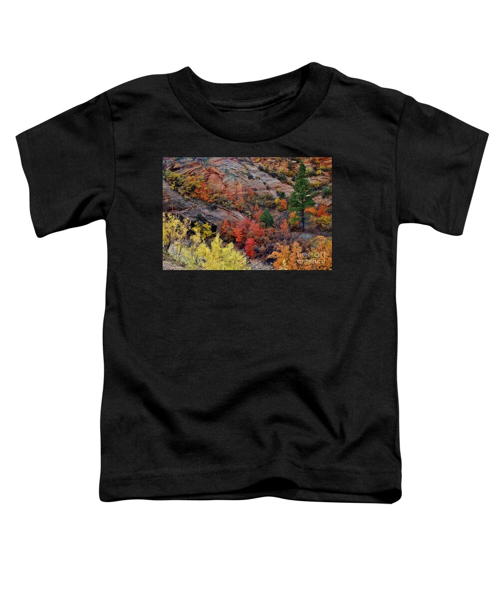 Fall Colors Toddler T-Shirt featuring the photograph Zion Vibrancy by Janet Marie