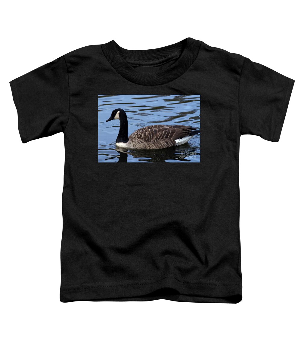 Canada Goose Toddler T-Shirt featuring the photograph Canada Goose, Alkington Woods, Manchester, UK #1 by Pics By Tony