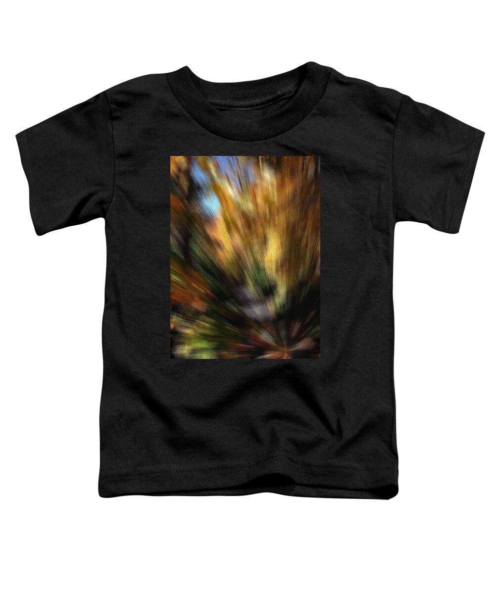 Sunburst Toddler T-Shirt featuring the photograph Light Show One of Three by Jacqueline M Lewis