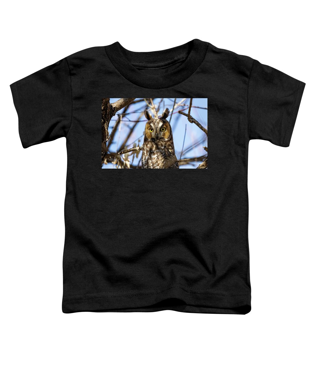 Owl Toddler T-Shirt featuring the photograph Long Eared Owl Paying Close Attention #1 by Tony Hake