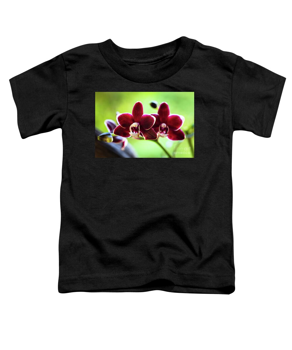 Background Toddler T-Shirt featuring the photograph Red Orchid Flower #1 by Raul Rodriguez