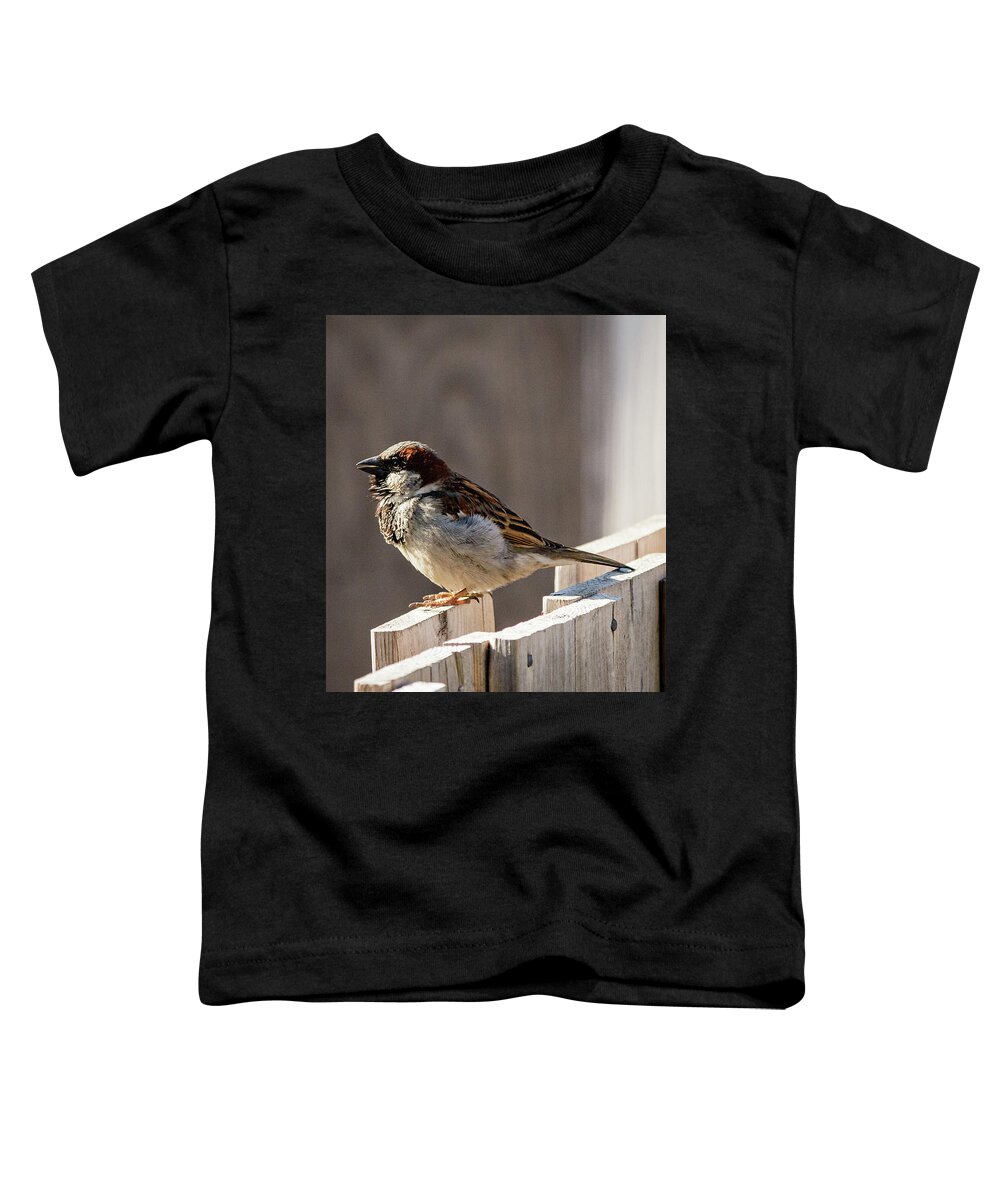 House Sparrow Toddler T-Shirt featuring the photograph House Sparrow on a fence #17 by SAURAVphoto Online Store