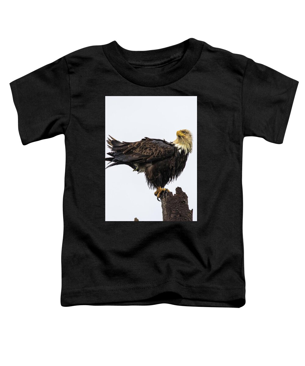 Eagle Toddler T-Shirt featuring the photograph Soggy Eagle #2 by Michelle Pennell