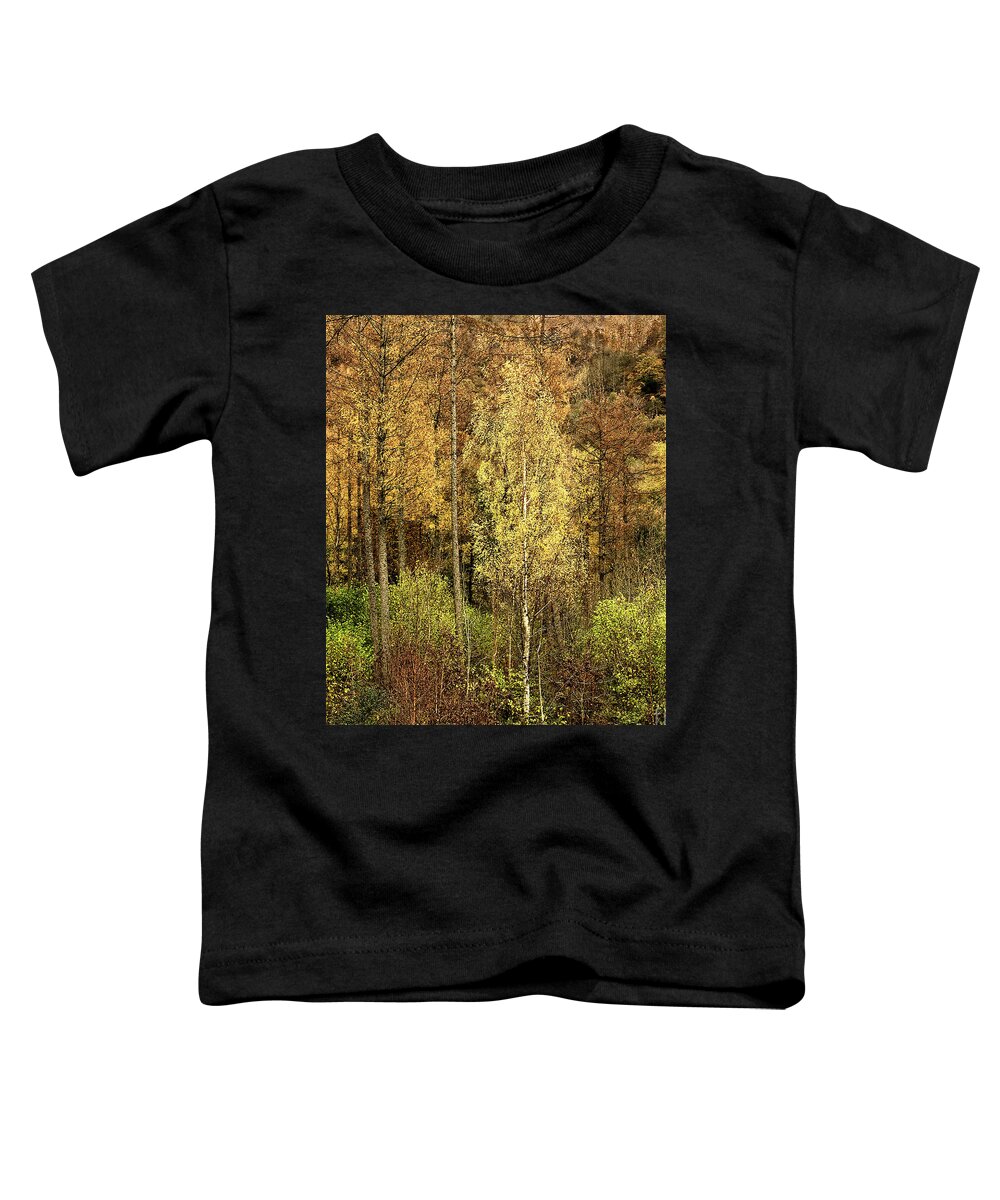 50 Shades Gold Golden Autumn Wonderland Fall Smart Uk Woodland Woods Forest Trees Foliage Leaves Beautiful Birch Crown Beauty Landscape Rich Colors Yellow Delightful Magnificent Mindfulness Serenity Inspirational Serene Tranquil Tranquillity Magic Charming Atmospheric Aesthetic Attractive Picturesque Scenery Glorious Impressionistic Impressive Pleasing Stimulating Magical Vivid Trunks Effective Green Bushes Delicate Gentle Joy Enjoyable Relaxing Pretty Uplifting Poetic Orange Red Fantastic Tale Toddler T-Shirt featuring the photograph Fifty Shades Of Gold by Tatiana Bogracheva