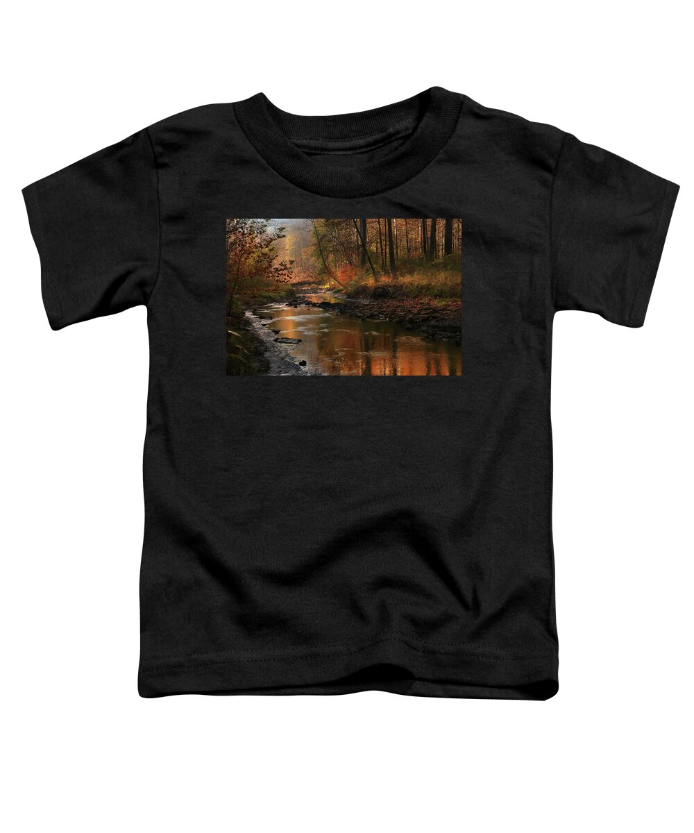  Toddler T-Shirt featuring the photograph A Natural Chiaroscuro by Rob Blair