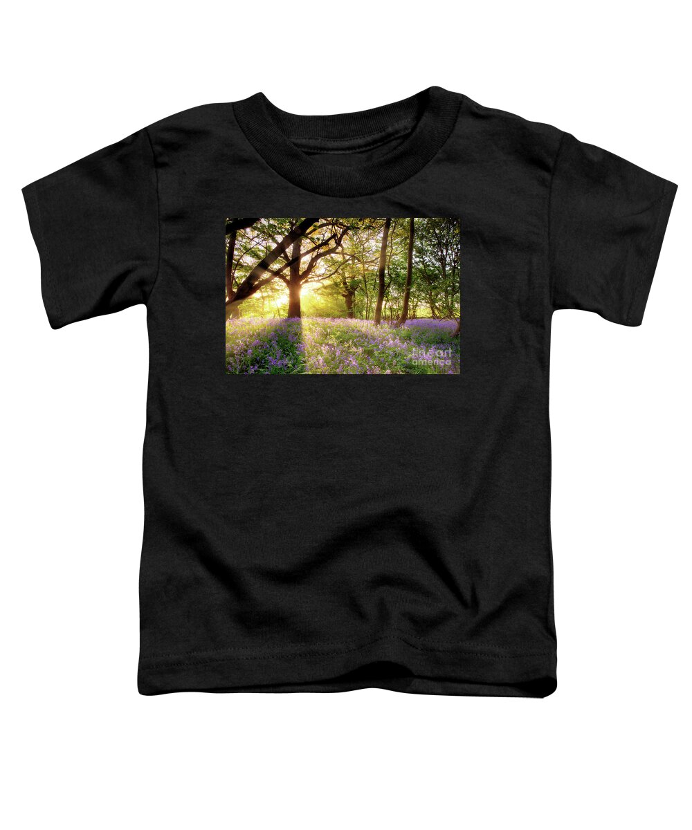 Norfolk Toddler T-Shirt featuring the photograph Norfolk sunrise in bluebell forest England by Simon Bratt