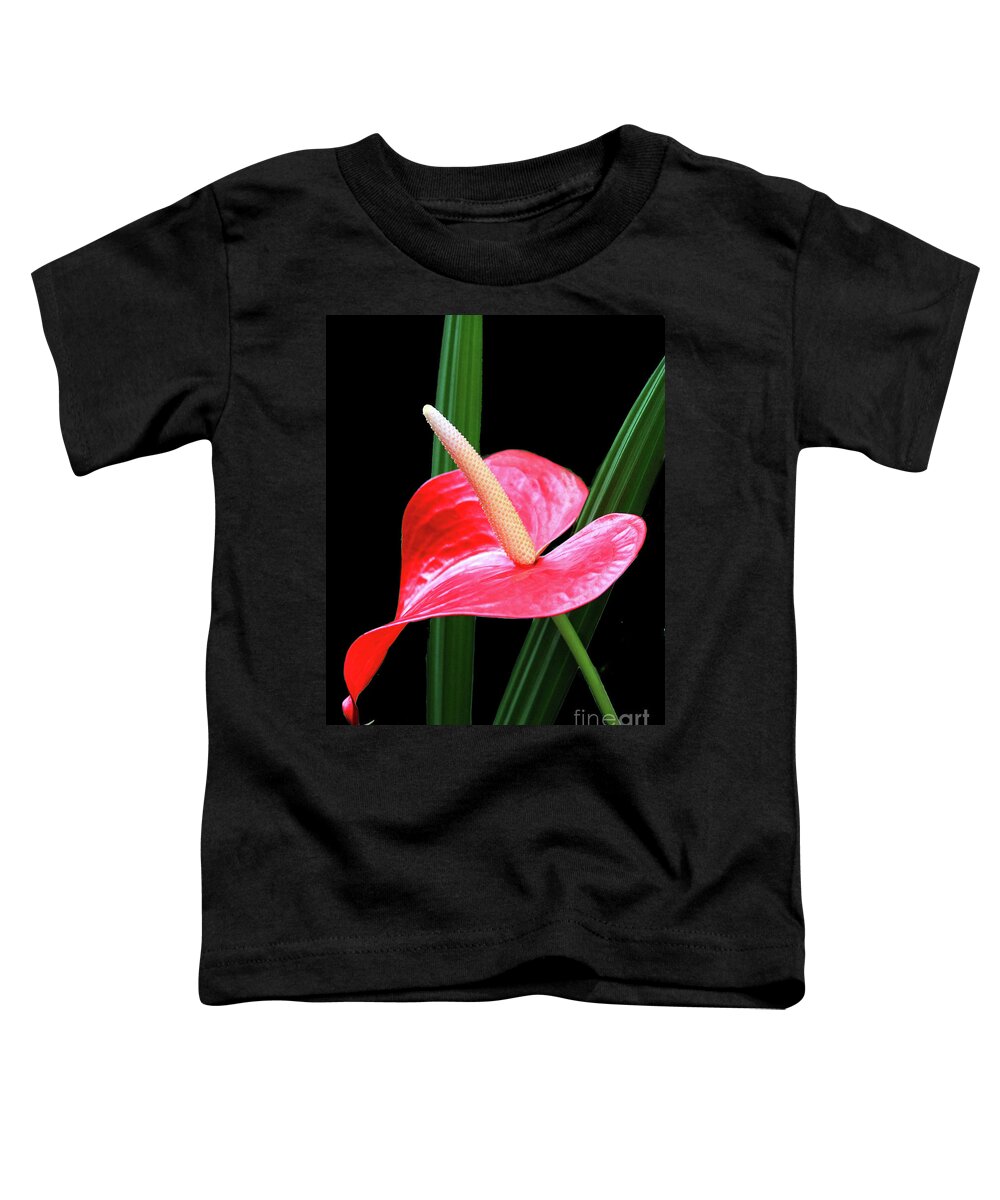 Nature Toddler T-Shirt featuring the photograph Anthurium by Mariarosa Rockefeller