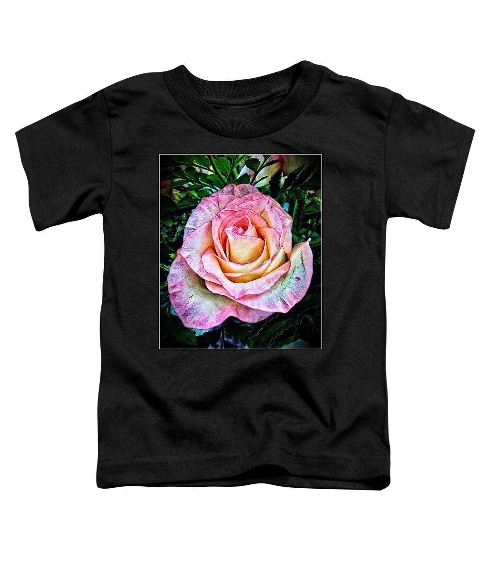 Pastel Rainbow Rose Toddler T-Shirt featuring the photograph Virtuosic by Catherine Melvin