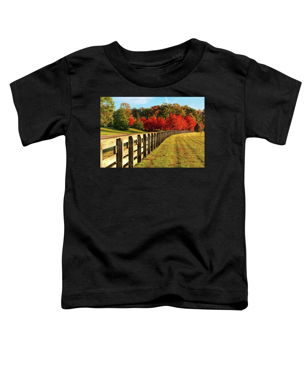 Autumn Toddler T-Shirt featuring the photograph Autumn in Riverview Farm Park in Newport News VA by Ola Allen