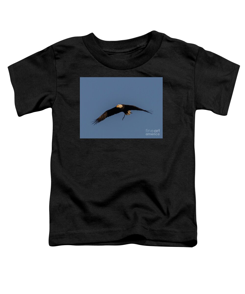 Bald Eagle Toddler T-Shirt featuring the photograph Bald Eagle Soaring by Steven Krull
