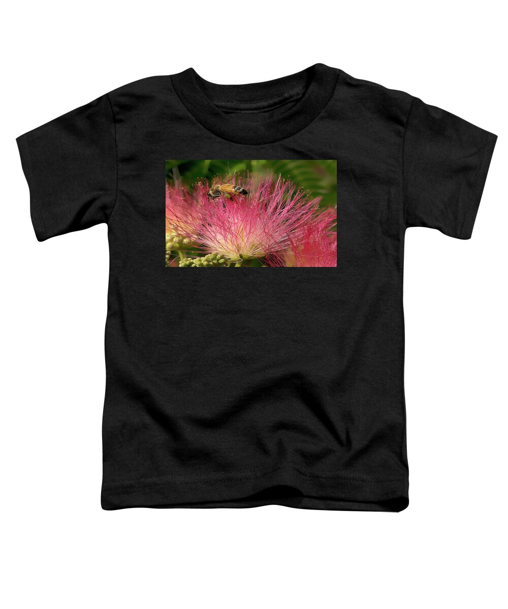 Photograph Toddler T-Shirt featuring the photograph Bee on Mimosa Flower by Beverly Read