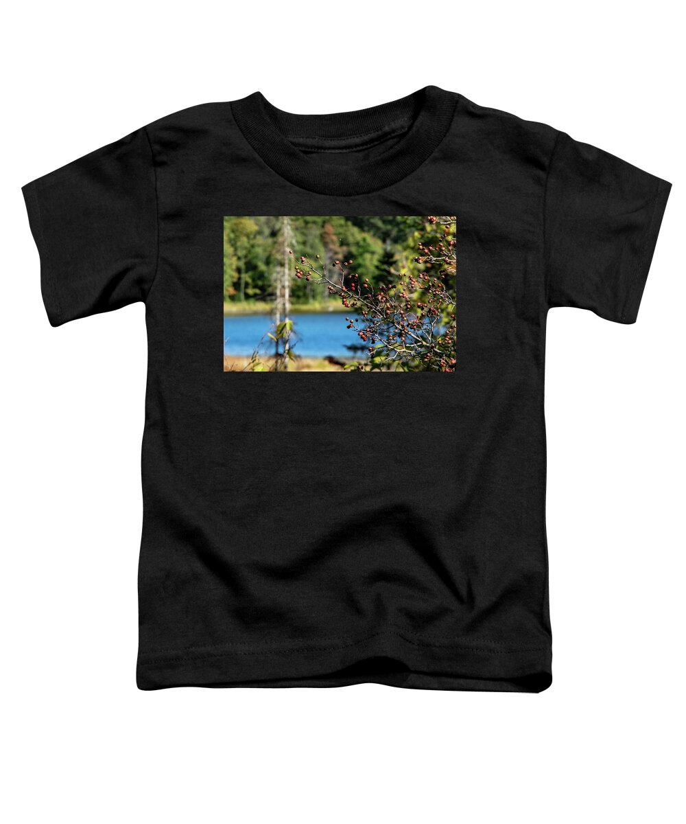 No People Toddler T-Shirt featuring the photograph Berries overhang ing lake by Nathan Wasylewski