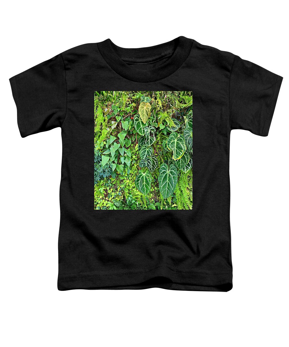 Bhm Toddler T-Shirt featuring the photograph BHM Living Wall Study 5 by Robert Meyers-Lussier