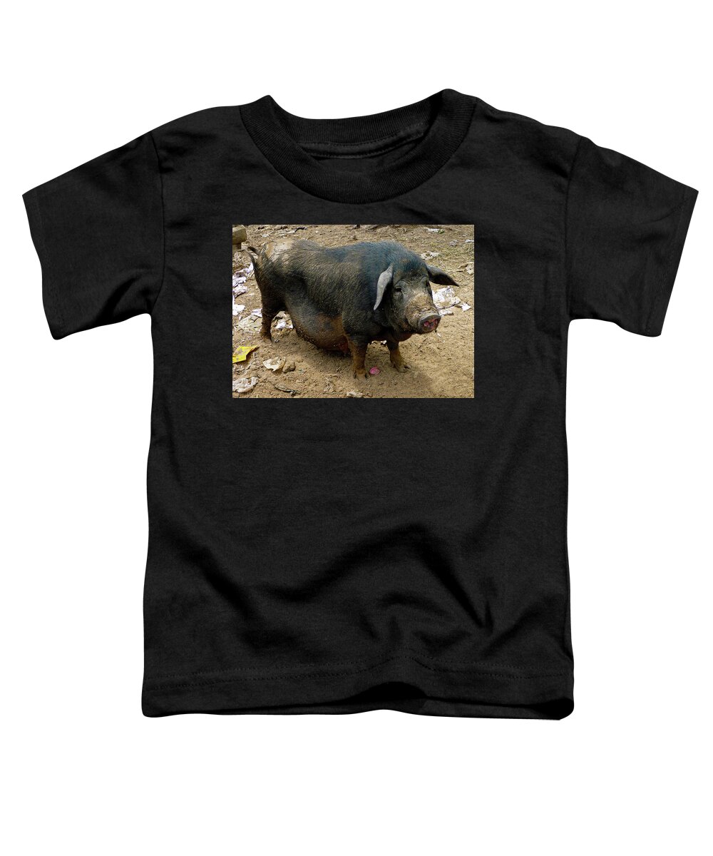 Animal Toddler T-Shirt featuring the photograph Big fat pig by Jeremy Holton
