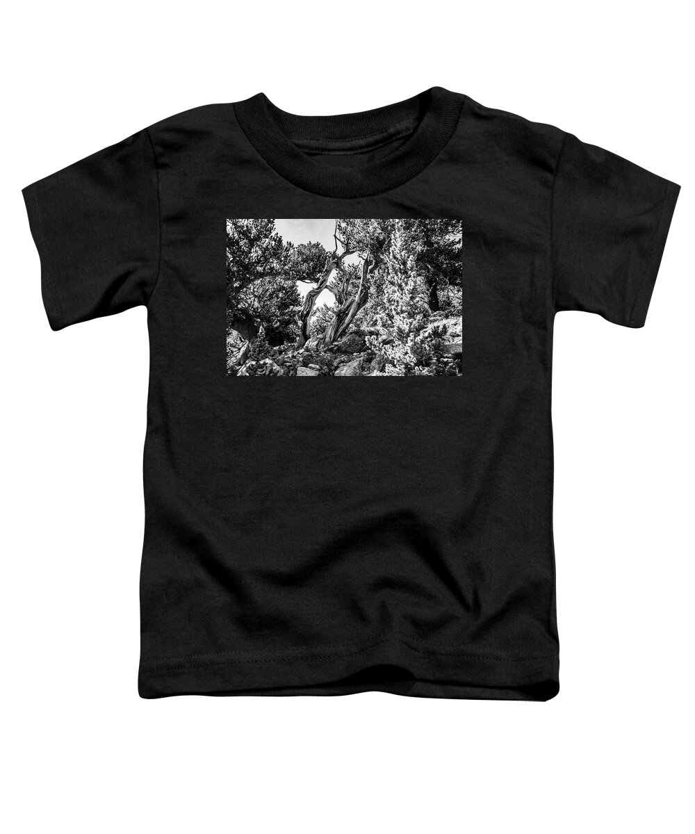 Trunk Toddler T-Shirt featuring the photograph Black and white pine by Nathan Wasylewski