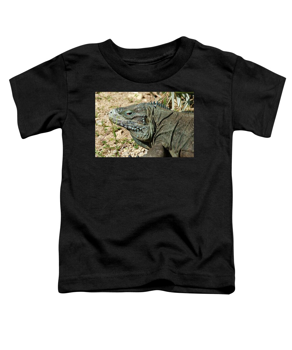 Iguana Toddler T-Shirt featuring the digital art Blue iguana skank eye by Debra Baldwin