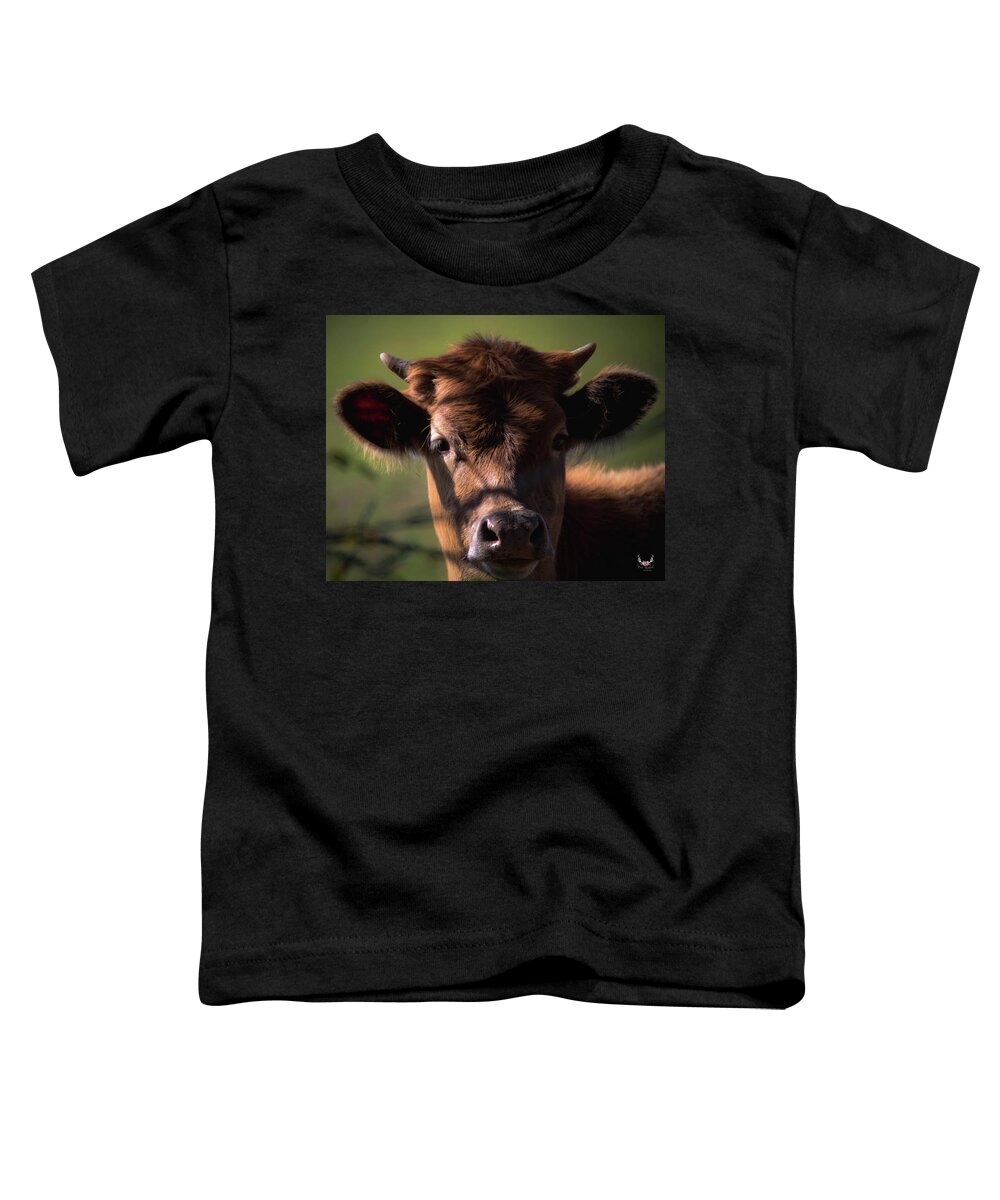 Cow Toddler T-Shirt featuring the photograph Brown Cow by Pam Rendall