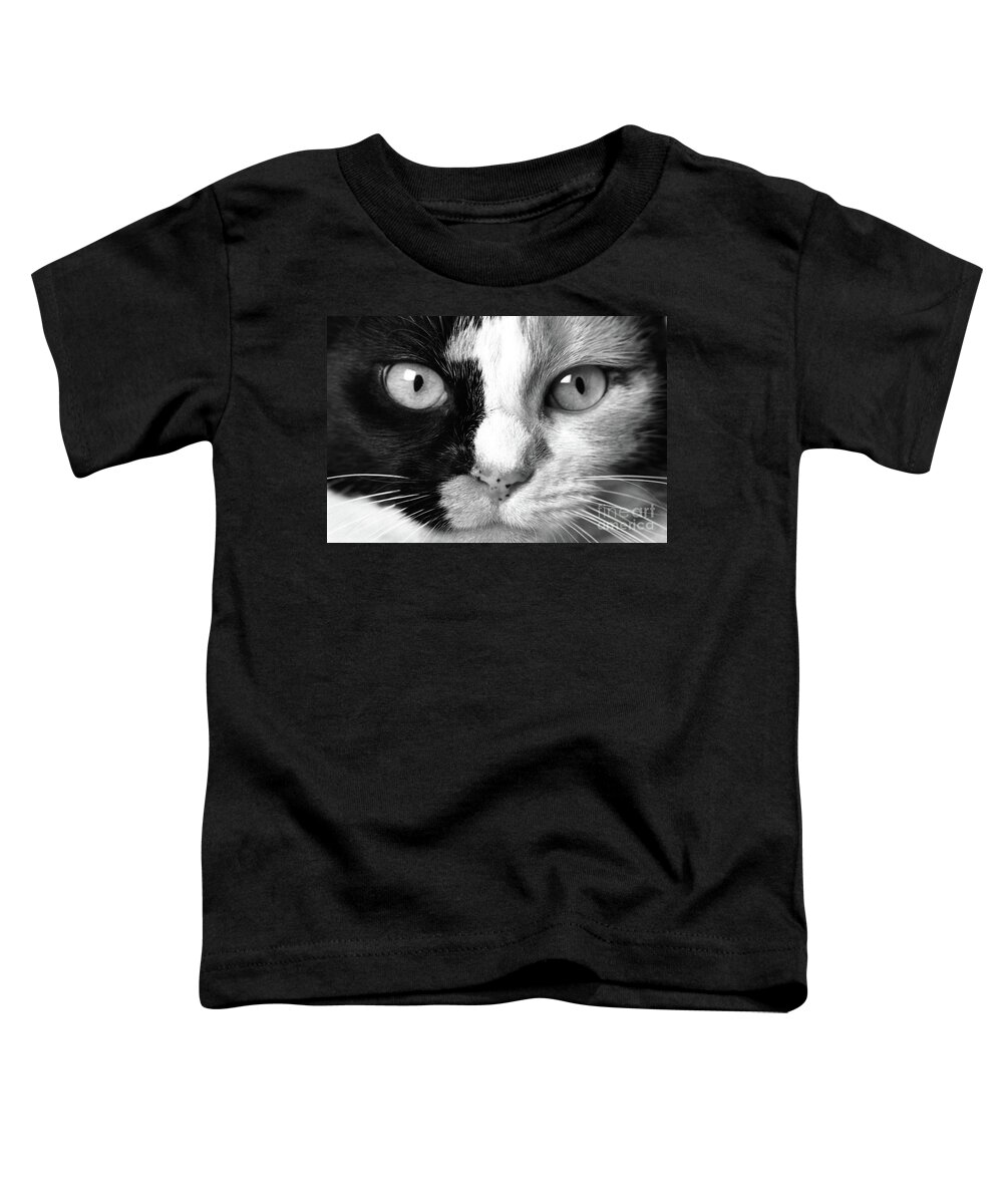Calico Toddler T-Shirt featuring the photograph Calico Eyes by John Hartung  ArtThatSmiles com
