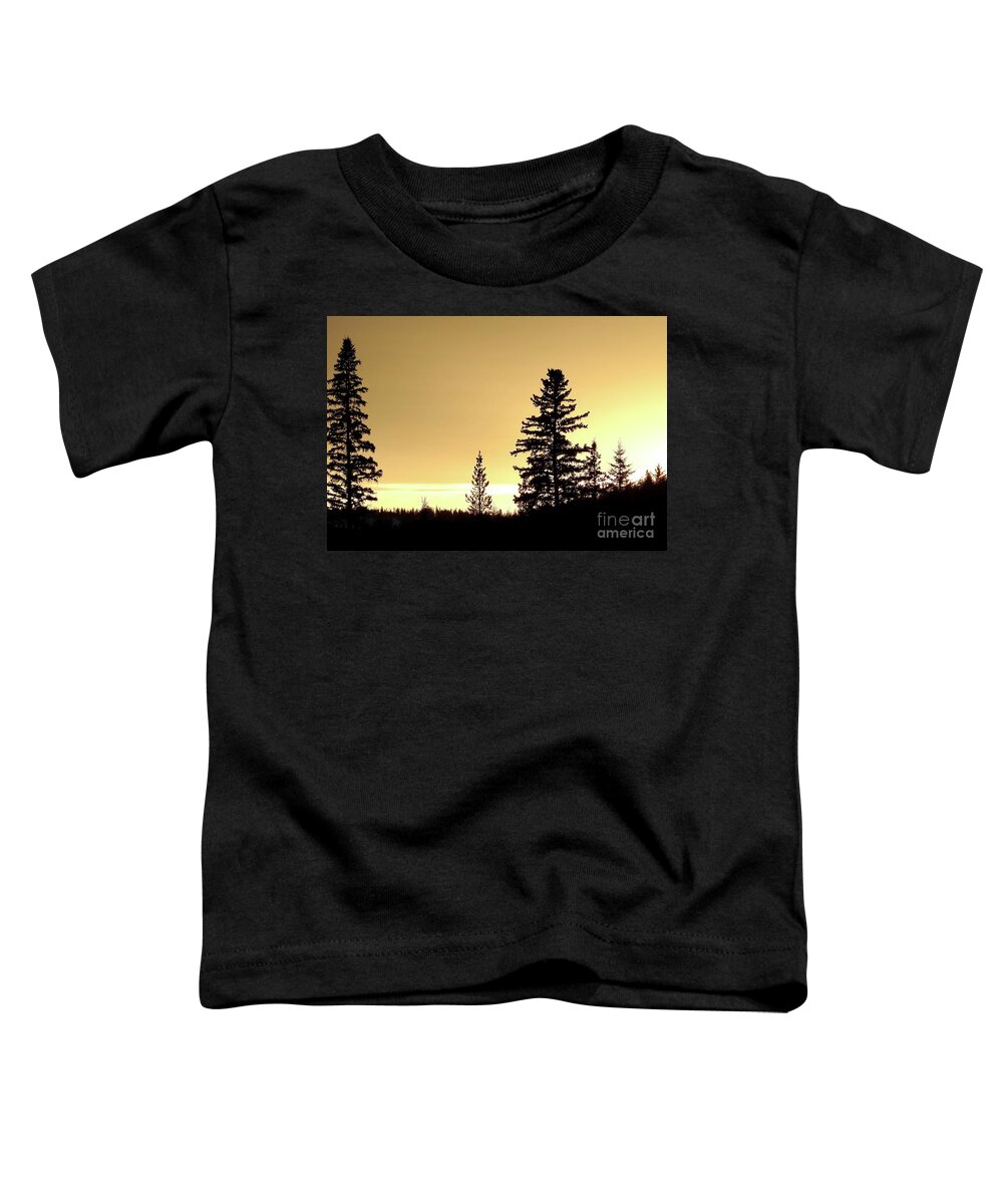 Sunset Toddler T-Shirt featuring the photograph Chilcotin Sunset by Nicola Finch
