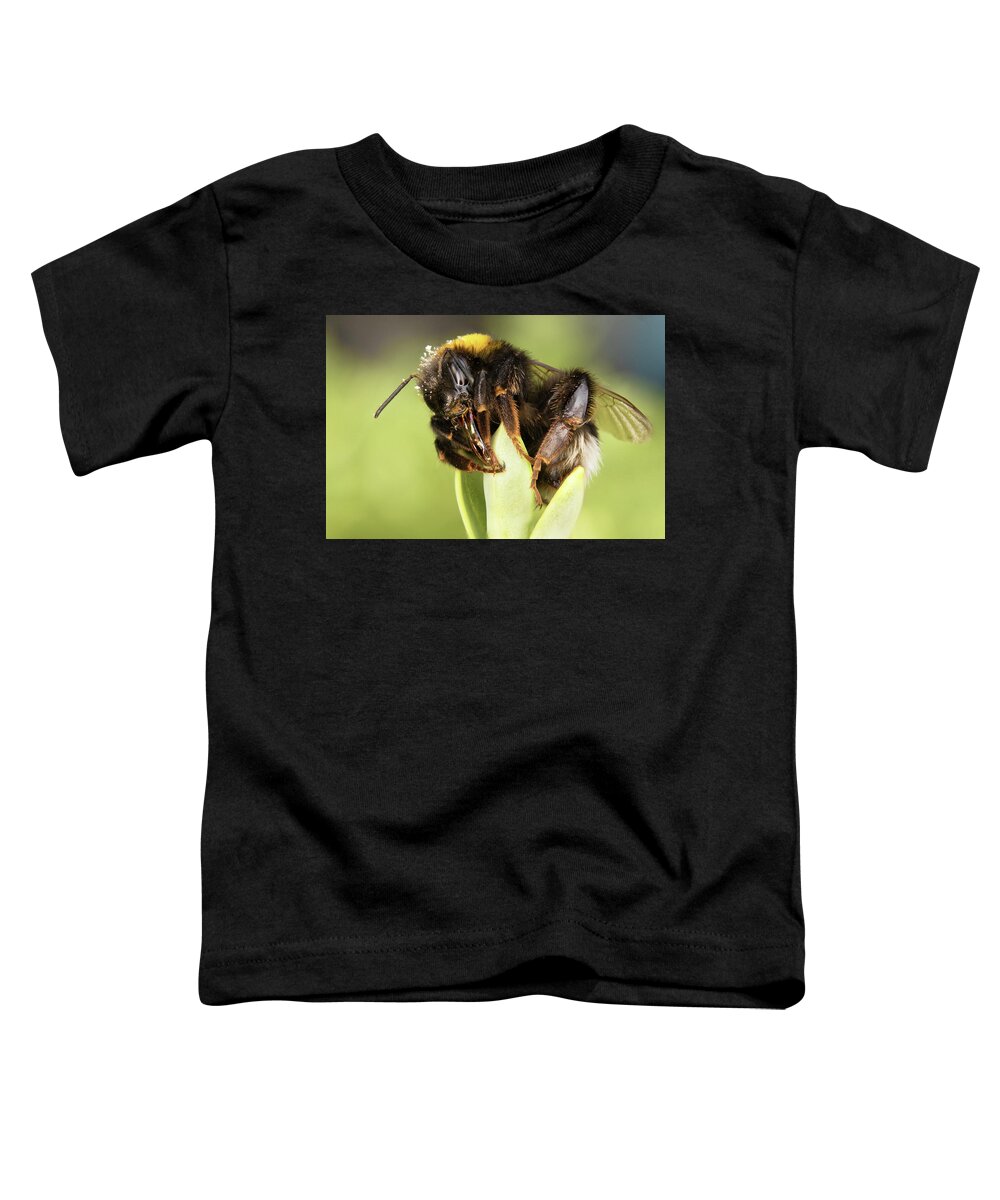 Nature Toddler T-Shirt featuring the photograph Close Up Of An Earth Bumblebee by MPhotographer