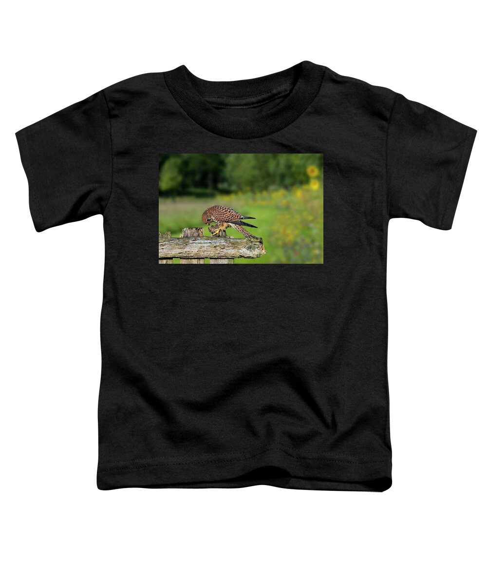 Common Kestrel Toddler T-Shirt featuring the photograph Common Kestrel with Mouse by Arterra Picture Library