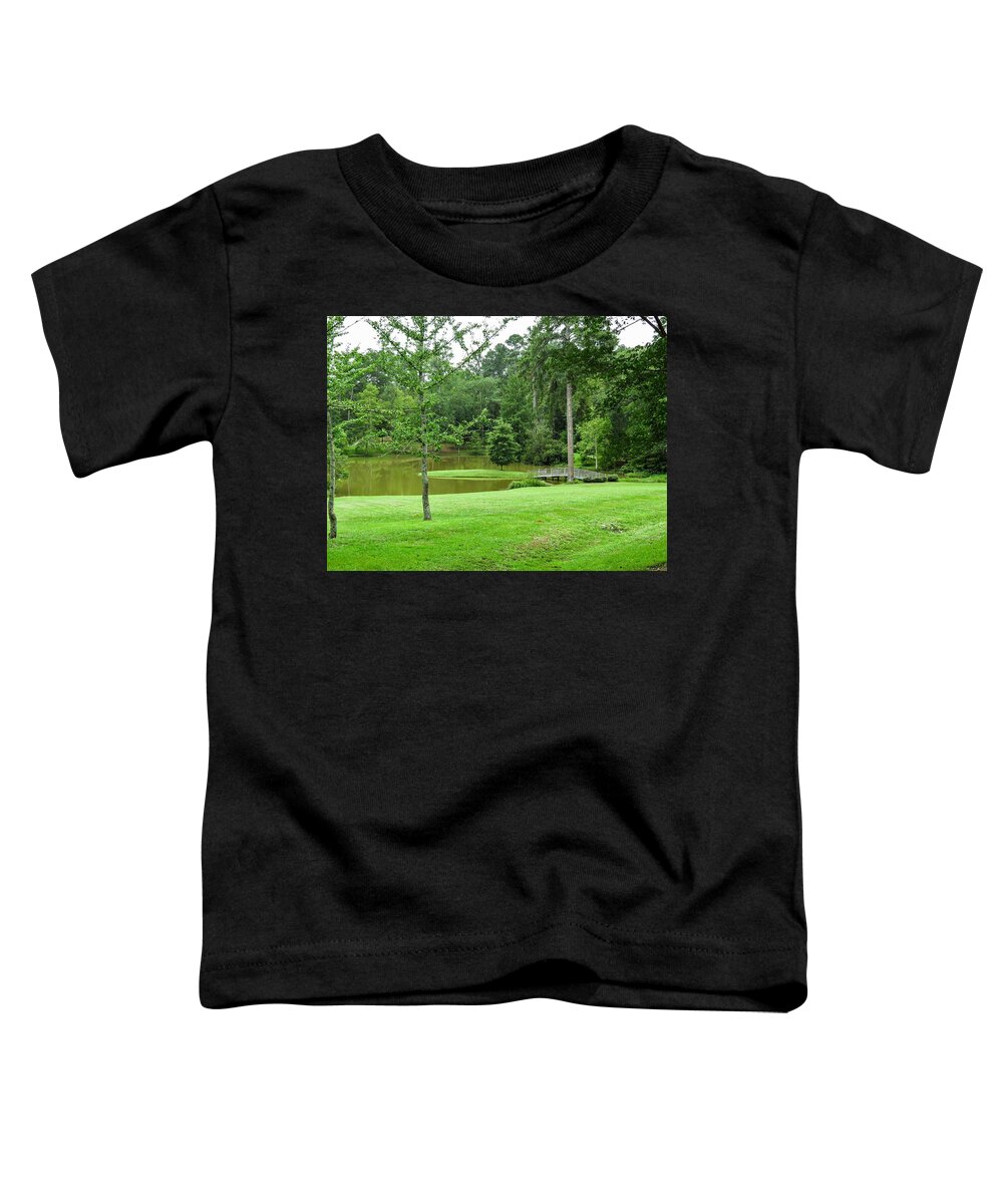 Pond Toddler T-Shirt featuring the photograph Cross The Pond by Ed Williams