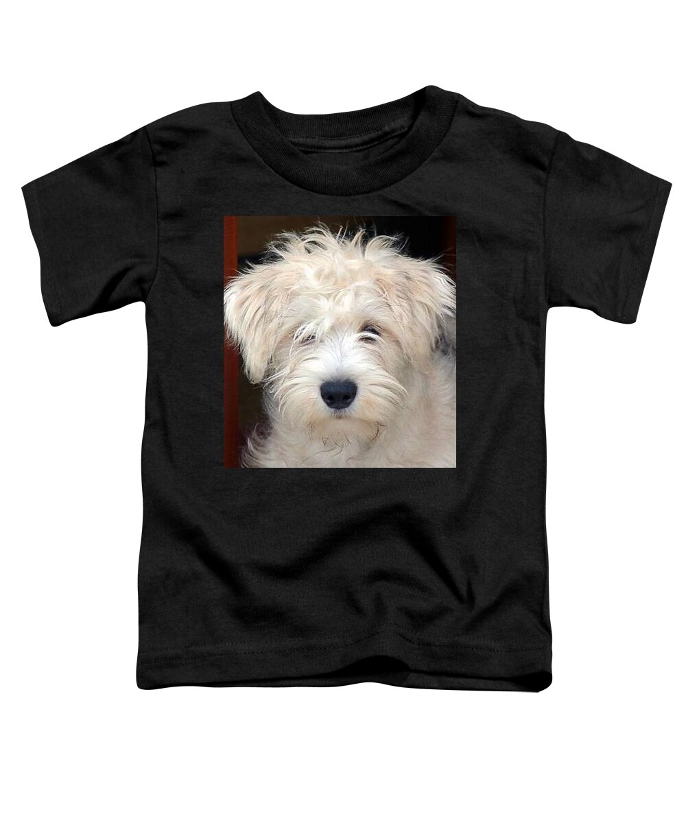 Wheaton Toddler T-Shirt featuring the photograph Cutest Ever Photograph by Kimberly Walker
